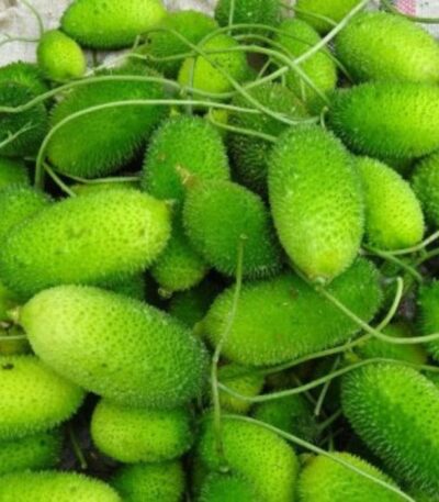 কাঁকরোল