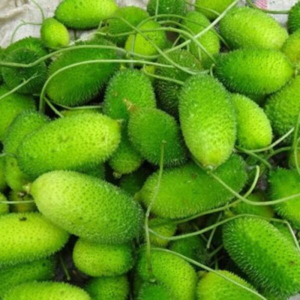 কাঁকরোল